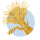 Heavitree Brewery Plc(The) logo