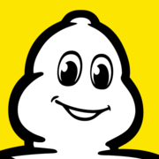 Michelin Tyre Public Limited Company logo