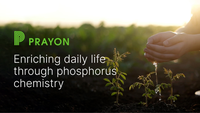 Prayon (UK) Public Limited Company logo