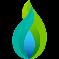 National Gas Transmission PLC logo