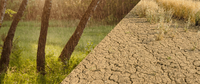 Sutton And East Surrey Water PLC logo