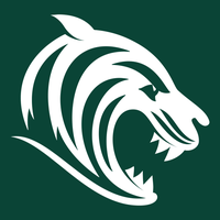 Leicester Football Club PLC logo