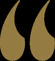 Goldentree Financial Services PLC logo