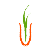 Farmacy PLC logo
