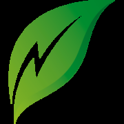Guarani Sustainable Energy PLC logo