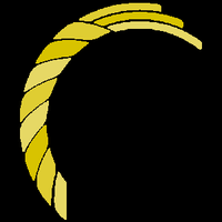 Dsw Capital PLC logo