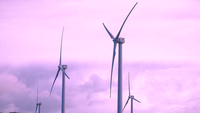Pineapple Power Corporation PLC logo