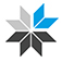 Life Settlement Assets PLC logo