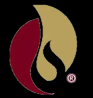 Brooge Petroleum And Gas Investment Company (Bpgic) PLC logo