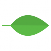 Light Science Technologies Holdings PLC logo