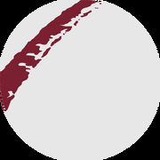 Bridgewater Investment Holdings PLC logo