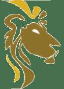 African Lion Gold PLC logo