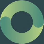Net Zero Infrastructure PLC logo