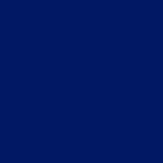 Technologies New Energy PLC logo