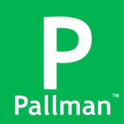 Pallman Group PLC logo