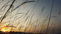 Atlantica Sustainable Infrastructure Group PLC logo